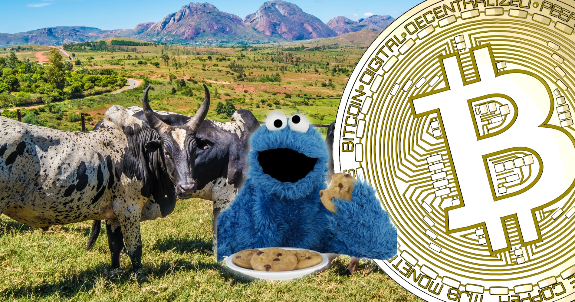 Marknaderna vänder upp igen, och kakmonstret uttalar sig om bitcoin
