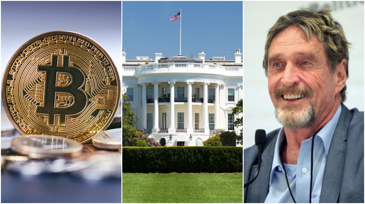 Kryptodygnet: Blandade siffror på kurserna och John McAfee kandiderar till president.