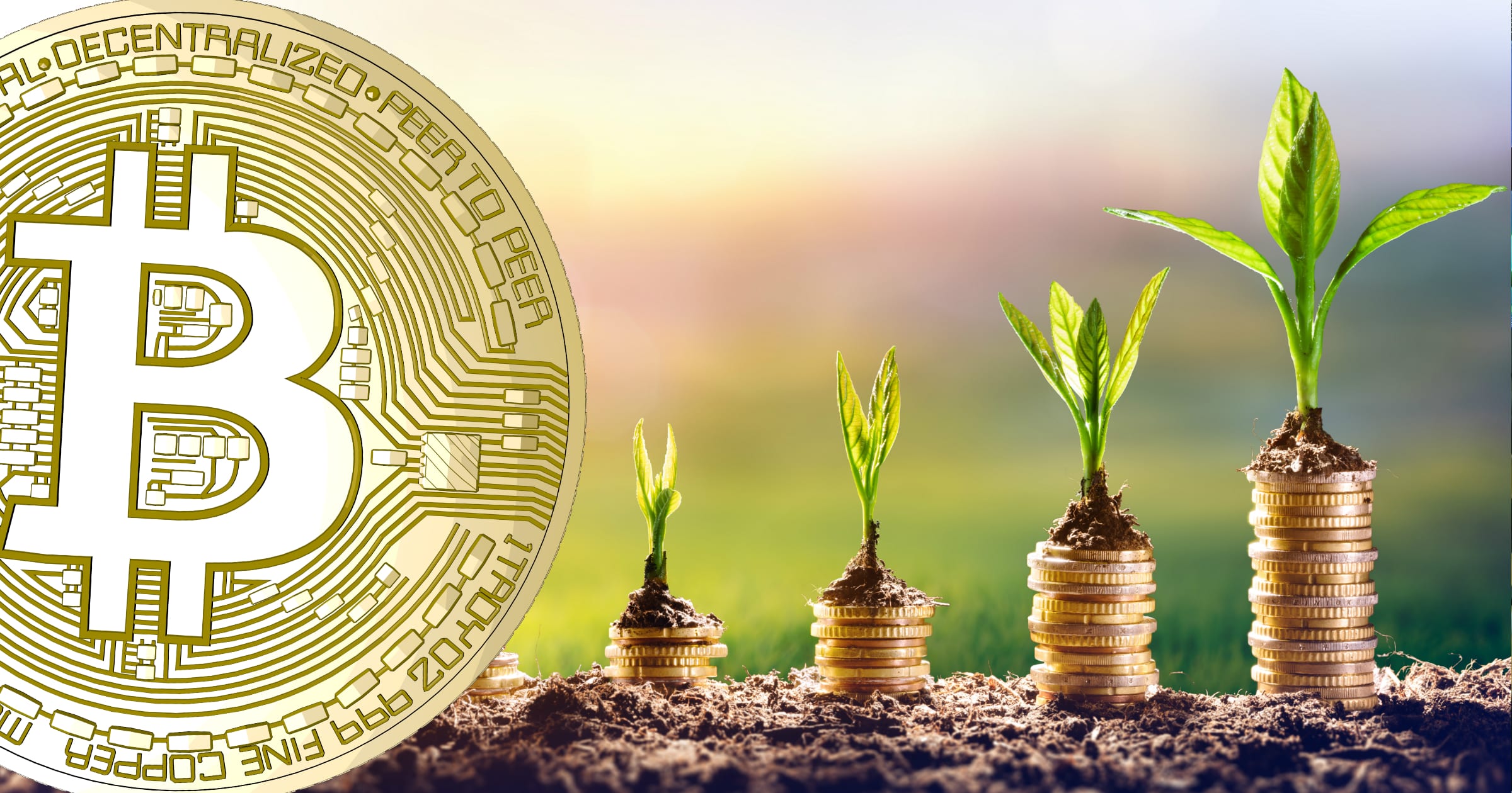 Vill du investera i bitcoin och kryptovalutor? Här är 5 saker du bör veta innan.