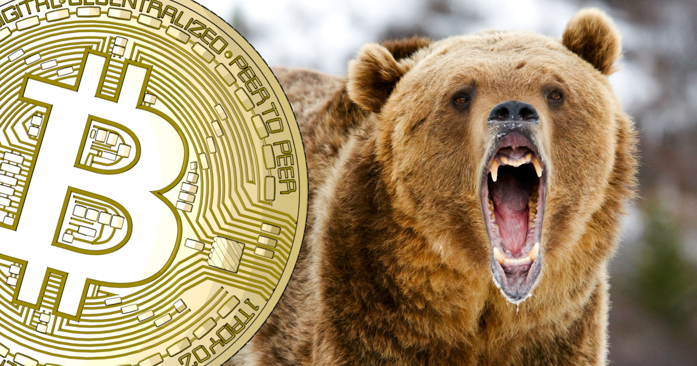 Bitcoinpriset faller under 8 000 dollar – har sjunkit 42 procent sedan årshögsta.