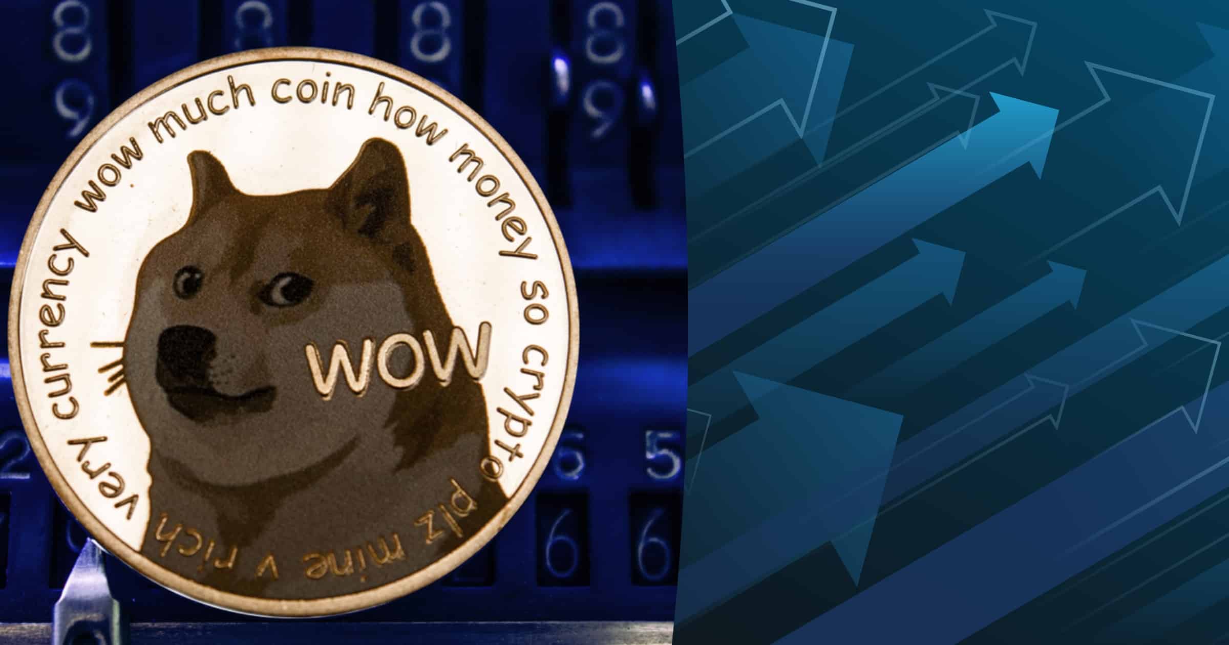 Dogecoin slår nytt prisrekord – efter kursrusning på 800 procent