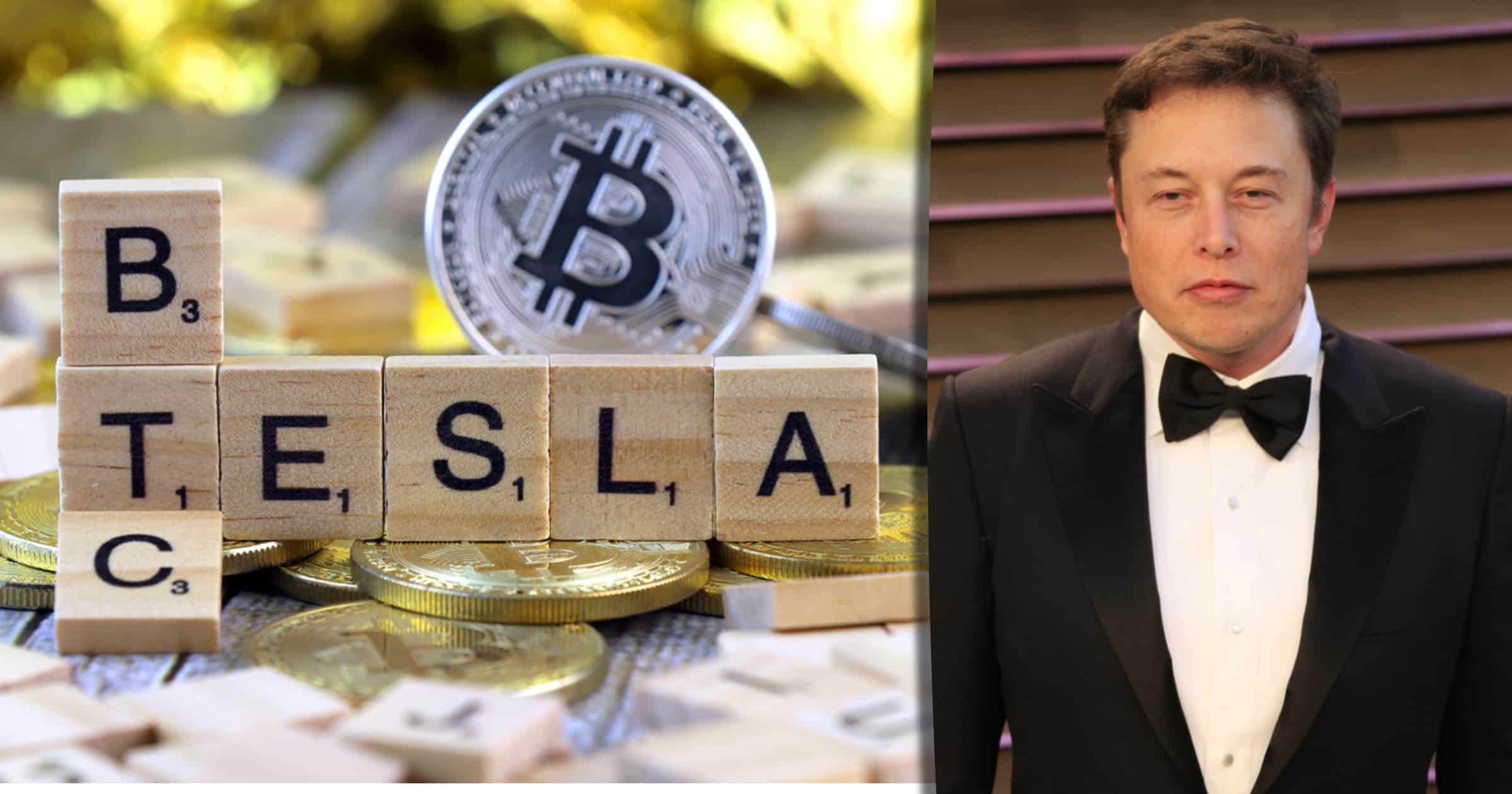 Elon Musk: Världens regeringar borde lämna kryptomarknaden i fred